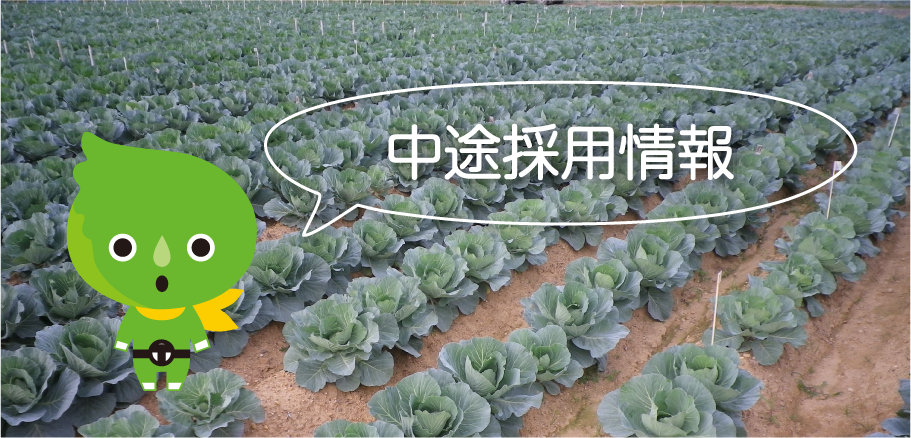 中途採用情報