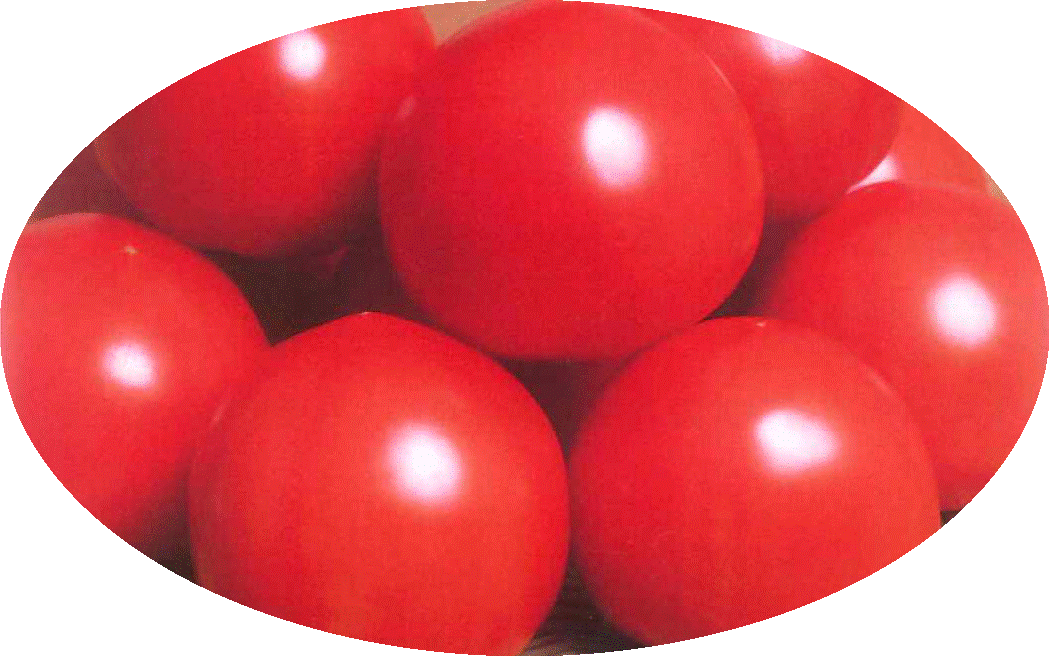 トマトパルト
