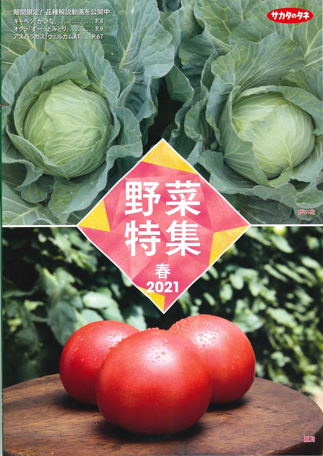 野菜特集　春　2021 表紙