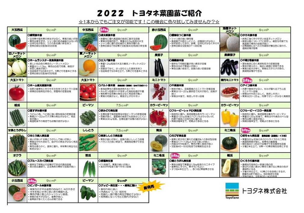 2022年トヨタネ菜園苗ご紹介