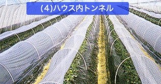 ハウス内トンネル ハウス内トンネル