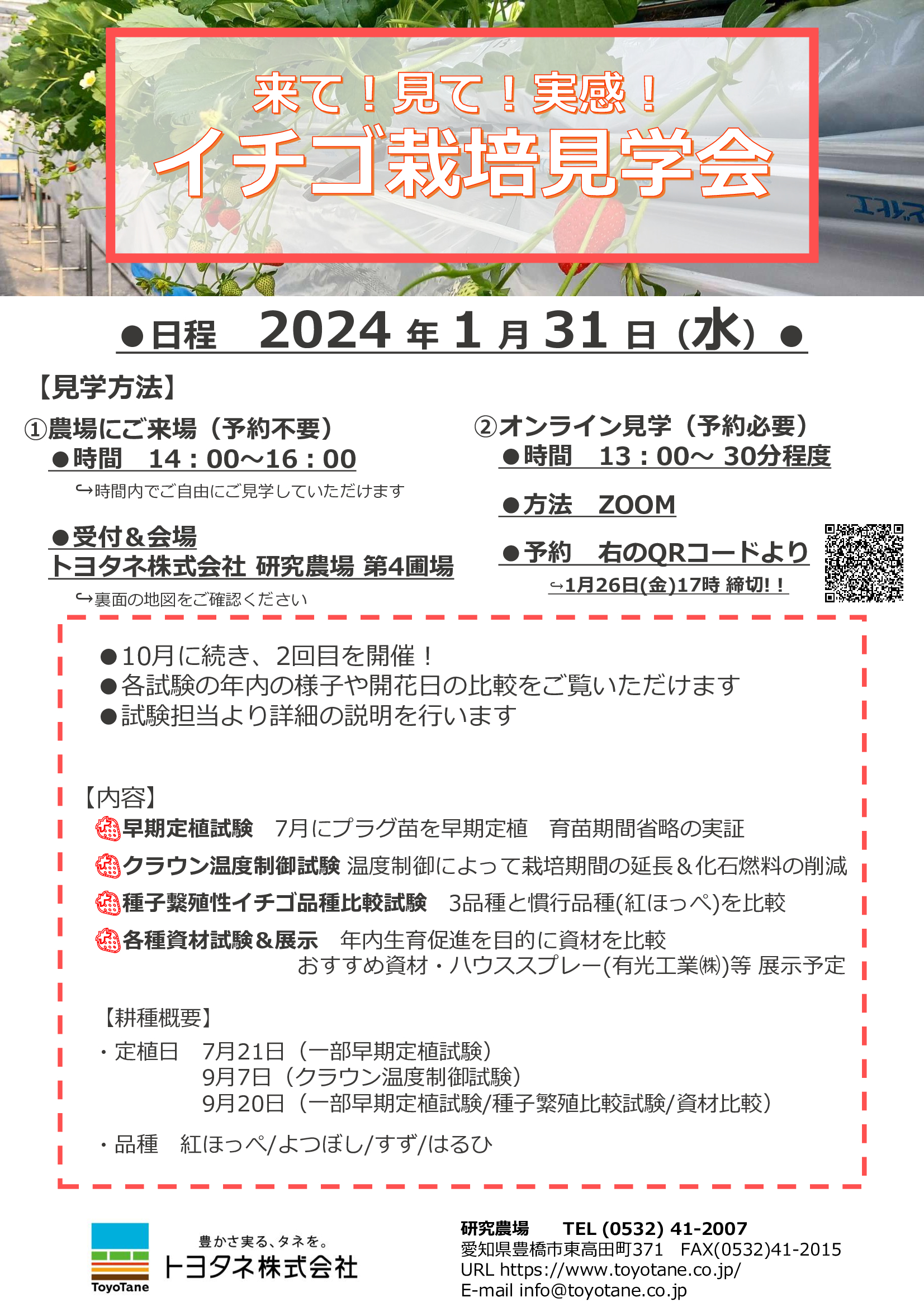 20240131イチゴ栽培見学会②_チラシ.jpeg