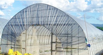 本文TOP画像➀ 本文TOP画像➀