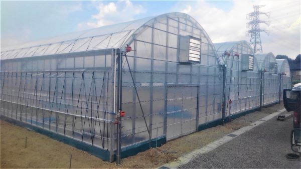 農業用ビニールハウス　施工事例