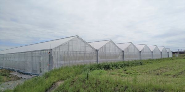 Profarm T-cube